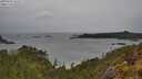 ./images/calvert/foggy-cove/20250523/foggy-cove20250523_161507M.jpg