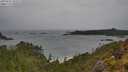 ./images/calvert/foggy-cove/20250523/foggy-cove20250523_162509M.jpg