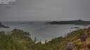 ./images/calvert/foggy-cove/20250523/foggy-cove20250523_164010M.jpg