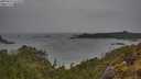 ./images/calvert/foggy-cove/20250523/foggy-cove20250523_164510M.jpg