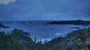 ./images/calvert/foggy-cove/20250524/foggy-cove20250524_052009M.jpg