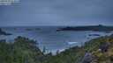 ./images/calvert/foggy-cove/20250524/foggy-cove20250524_054008M.jpg