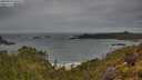 ./images/calvert/foggy-cove/20250524/foggy-cove20250524_060510M.jpg