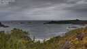 ./images/calvert/foggy-cove/20250524/foggy-cove20250524_062009M.jpg