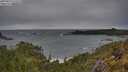 ./images/calvert/foggy-cove/20250524/foggy-cove20250524_073510M.jpg