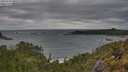 ./images/calvert/foggy-cove/20250524/foggy-cove20250524_080510M.jpg