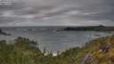 ./images/calvert/foggy-cove/20250524/foggy-cove20250524_081010M.jpg