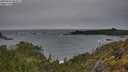 ./images/calvert/foggy-cove/20250524/foggy-cove20250524_083510M.jpg