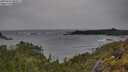 ./images/calvert/foggy-cove/20250524/foggy-cove20250524_084511M.jpg