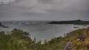./images/calvert/foggy-cove/20250524/foggy-cove20250524_085509M.jpg
