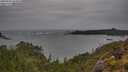 ./images/calvert/foggy-cove/20250524/foggy-cove20250524_104010M.jpg