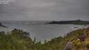 ./images/calvert/foggy-cove/20250524/foggy-cove20250524_110508M.jpg