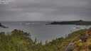 ./images/calvert/foggy-cove/20250524/foggy-cove20250524_111509M.jpg