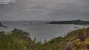 ./images/calvert/foggy-cove/20250524/foggy-cove20250524_114010M.jpg