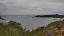 ./images/calvert/foggy-cove/20250524/foggy-cove20250524_122010M.jpg