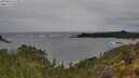 ./images/calvert/foggy-cove/20250524/foggy-cove20250524_123011M.jpg