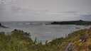 ./images/calvert/foggy-cove/20250524/foggy-cove20250524_133008M.jpg