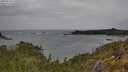 ./images/calvert/foggy-cove/20250524/foggy-cove20250524_135010M.jpg
