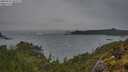 ./images/calvert/foggy-cove/20250524/foggy-cove20250524_205508M.jpg