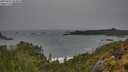./images/calvert/foggy-cove/20250525/foggy-cove20250525_084010M.jpg
