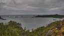 ./images/calvert/foggy-cove/20250525/foggy-cove20250525_094510M.jpg