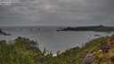 ./images/calvert/foggy-cove/20250525/foggy-cove20250525_095010M.jpg