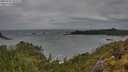 ./images/calvert/foggy-cove/20250525/foggy-cove20250525_102509M.jpg