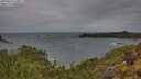 ./images/calvert/foggy-cove/20250525/foggy-cove20250525_110011M.jpg