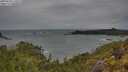 ./images/calvert/foggy-cove/20250525/foggy-cove20250525_110509M.jpg