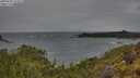 ./images/calvert/foggy-cove/20250525/foggy-cove20250525_111006M.jpg