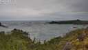 ./images/calvert/foggy-cove/20250525/foggy-cove20250525_113010M.jpg