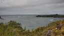 ./images/calvert/foggy-cove/20250525/foggy-cove20250525_122507M.jpg