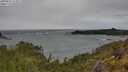 ./images/calvert/foggy-cove/20250525/foggy-cove20250525_124007M.jpg