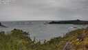 ./images/calvert/foggy-cove/20250525/foggy-cove20250525_125010M.jpg