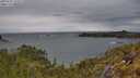 ./images/calvert/foggy-cove/20250525/foggy-cove20250525_132009M.jpg