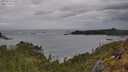 ./images/calvert/foggy-cove/20250525/foggy-cove20250525_140507M.jpg
