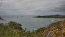 ./images/calvert/foggy-cove/20250525/foggy-cove20250525_143510M.jpg