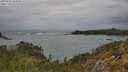 ./images/calvert/foggy-cove/20250525/foggy-cove20250525_144010M.jpg