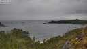 ./images/calvert/foggy-cove/20250525/foggy-cove20250525_150510M.jpg