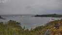 ./images/calvert/foggy-cove/20250525/foggy-cove20250525_152009M.jpg