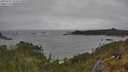 ./images/calvert/foggy-cove/20250525/foggy-cove20250525_154510M.jpg