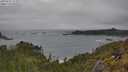 ./images/calvert/foggy-cove/20250525/foggy-cove20250525_155010M.jpg
