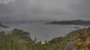 ./images/calvert/foggy-cove/20250525/foggy-cove20250525_162009M.jpg