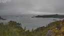 ./images/calvert/foggy-cove/20250525/foggy-cove20250525_162509M.jpg