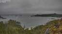 ./images/calvert/foggy-cove/20250525/foggy-cove20250525_164509M.jpg