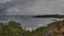 ./images/calvert/foggy-cove/20250526/foggy-cove20250526_052508M.jpg