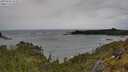 ./images/calvert/foggy-cove/20250526/foggy-cove20250526_133509M.jpg