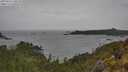 ./images/calvert/foggy-cove/20250526/foggy-cove20250526_140508M.jpg