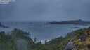 ./images/calvert/foggy-cove/20250527/foggy-cove20250527_053008M.jpg