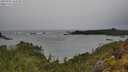 ./images/calvert/foggy-cove/20250527/foggy-cove20250527_164509M.jpg